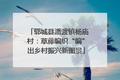 郓城县潘渡镇杨庙村：草藤编织“编”出乡村振兴新图景