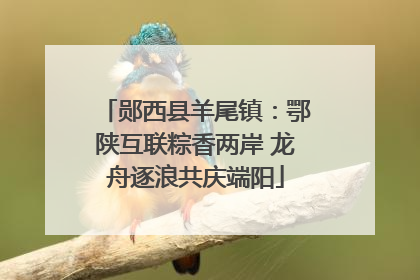 郧西县羊尾镇：鄂陕互联粽香两岸 龙舟逐浪共庆端阳