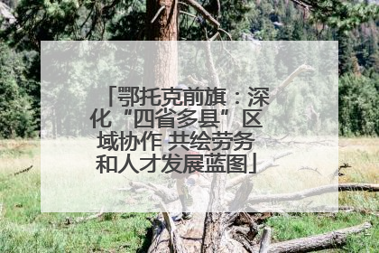 鄂托克前旗：深化“四省多县”区域协作 共绘劳务和人才发展蓝图