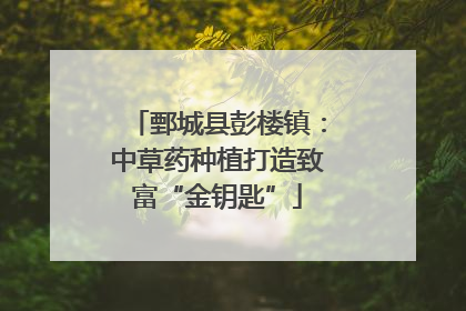 鄄城县彭楼镇：中草药种植打造致富“金钥匙”