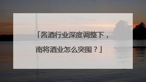 酱酒行业深度调整下，南将酒业怎么突围？