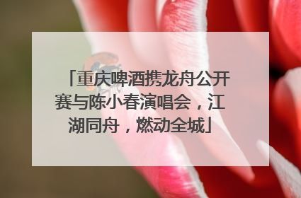 重庆啤酒携龙舟公开赛与陈小春演唱会，江湖同舟，燃动全城