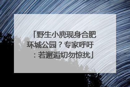 野生小麂现身合肥环城公园？专家呼吁：若邂逅切勿惊扰
