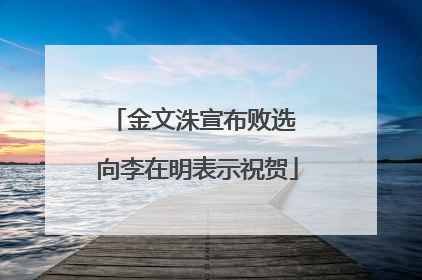 金文洙宣布败选 向李在明表示祝贺