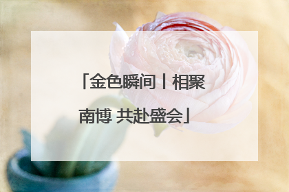 金色瞬间丨相聚南博 共赴盛会