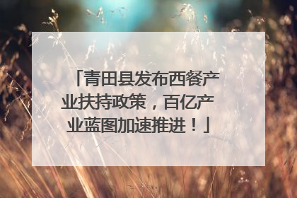 青田县发布西餐产业扶持政策，百亿产业蓝图加速推进！