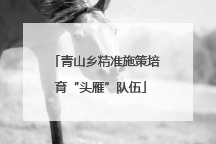 青山乡精准施策培育“头雁”队伍