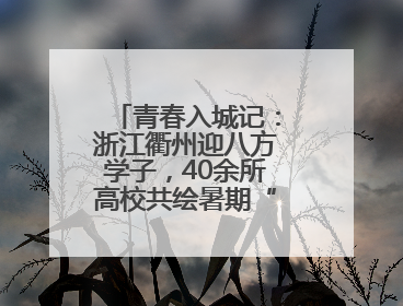 青春入城记：浙江衢州迎八方学子，40余所高校共绘暑期“无忧画卷”