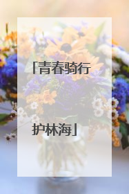 青春骑行护林海