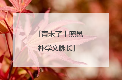 青未了丨照邑朴学文脉长