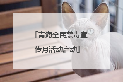 青海全民禁毒宣传月活动启动