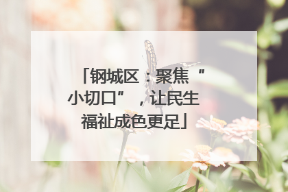 钢城区：聚焦“小切口”，让民生福祉成色更足