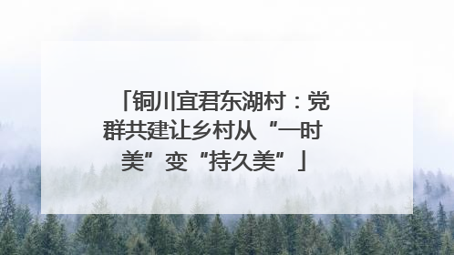 铜川宜君东湖村：党群共建让乡村从“一时美”变“持久美”