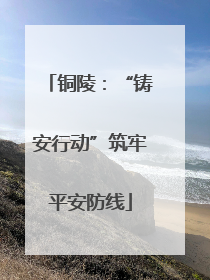 铜陵：“铸安行动”筑牢平安防线