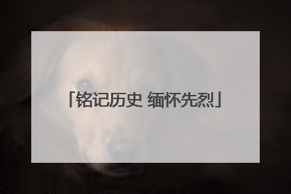 铭记历史 缅怀先烈