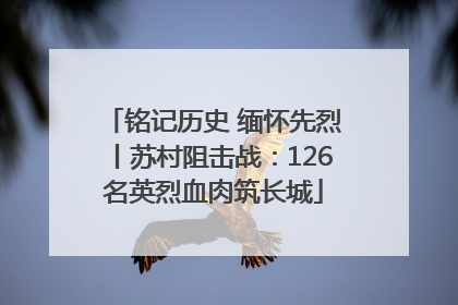 铭记历史 缅怀先烈丨苏村阻击战：126名英烈血肉筑长城