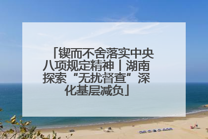 锲而不舍落实中央八项规定精神丨湖南探索“无扰督查”深化基层减负