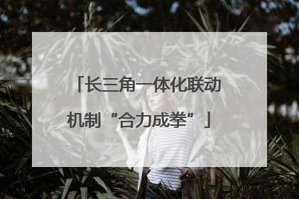 长三角一体化联动机制“合力成拳”