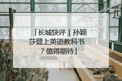 长城快评｜孙颖莎登上英语教科书？值得期待