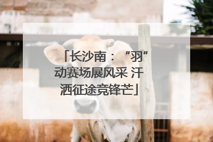 长沙南：“羽”动赛场展风采 汗洒征途竞锋芒