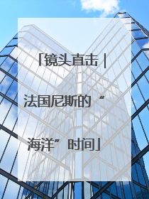 镜头直击｜法国尼斯的“海洋”时间