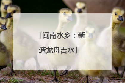 闽南水乡：新造龙舟吉水