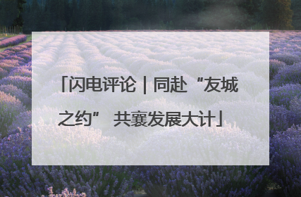 闪电评论｜同赴“友城之约” 共襄发展大计