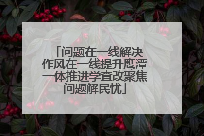 问题在一线解决 作风在一线提升鹰潭一体推进学查改聚焦问题解民忧
