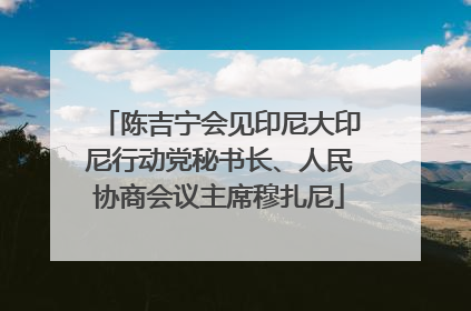 陈吉宁会见印尼大印尼行动党秘书长、人民协商会议主席穆扎尼