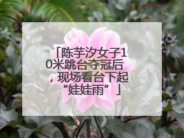 陈芋汐女子10米跳台夺冠后，现场看台下起“娃娃雨”