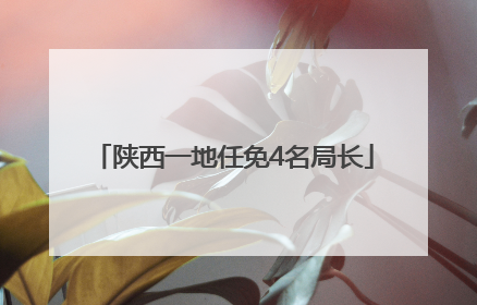 陕西一地任免4名局长