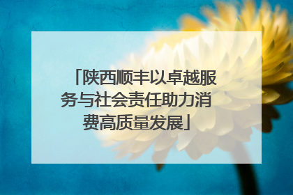 陕西顺丰以卓越服务与社会责任助力消费高质量发展