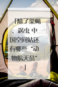 除了果蝇、涡虫 中国空间站还有哪些“动物航天员”