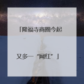 隆福寺商圈今起又多一“网红”