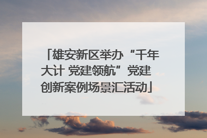 雄安新区举办“千年大计 党建领航”党建创新案例场景汇活动