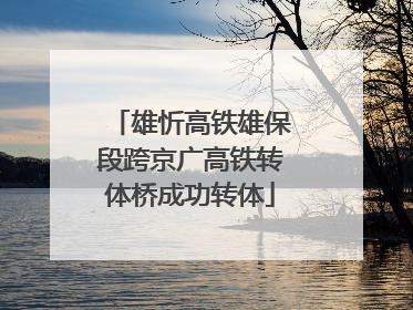 雄忻高铁雄保段跨京广高铁转体桥成功转体