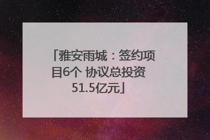 雅安雨城：签约项目6个 协议总投资51.5亿元
