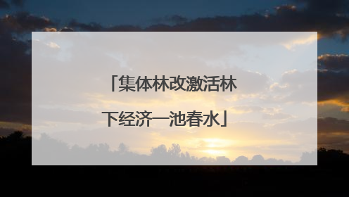 集体林改激活林下经济一池春水