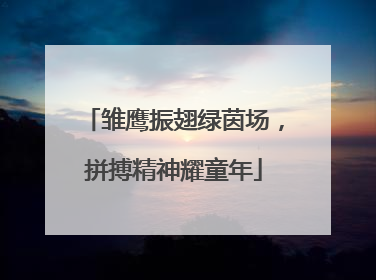 雏鹰振翅绿茵场，拼搏精神耀童年