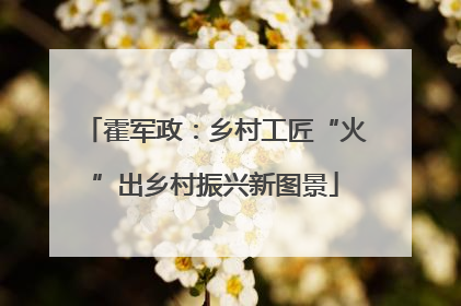 霍军政：乡村工匠“火”出乡村振兴新图景