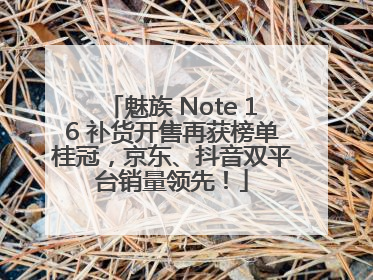 魅族 Note 16 补货开售再获榜单桂冠，京东、抖音双平台销量领先！