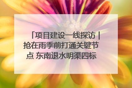 项目建设一线探访｜抢在雨季前打通关键节点 东南退水明渠四标段项目顺利完工