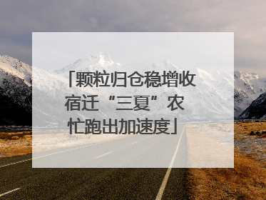 颗粒归仓稳增收 宿迁“三夏”农忙跑出加速度