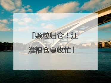 颗粒归仓！江淮粮仓夏收忙