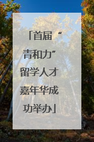 首届“青和力”留学人才嘉年华成功举办