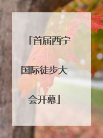 首届西宁国际徒步大会开幕