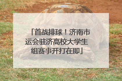 首战排球！济南市运会驻济高校大学生组赛事开打在即