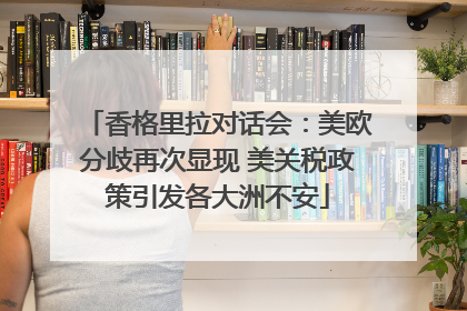 香格里拉对话会：美欧分歧再次显现 美关税政策引发各大洲不安