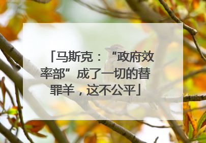 马斯克：“政府效率部”成了一切的替罪羊，这不公平