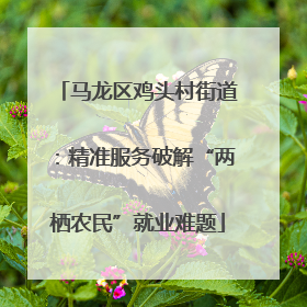 马龙区鸡头村街道：精准服务破解“两栖农民”就业难题